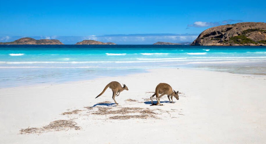 Lucky Bay, Australia